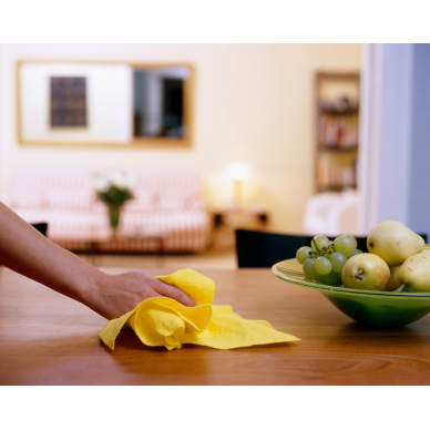 Nooks and Crannies Commercial and Residential Cleaning Service Logo
