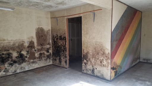 Images Steele Environmental Services