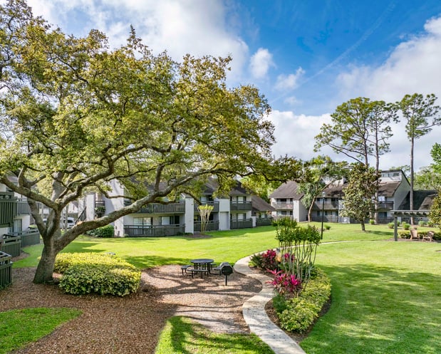 Images MAA Carrollwood
