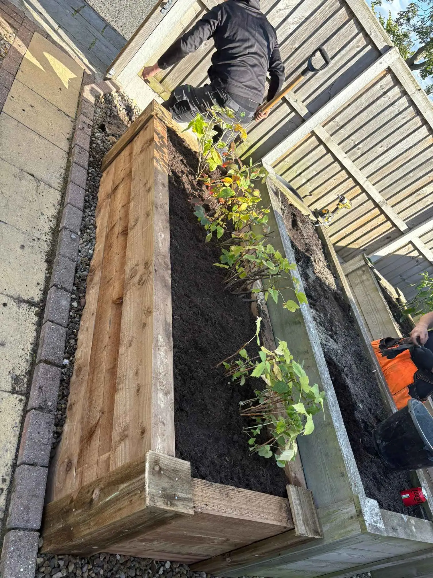 Images PG Garden Maintenance