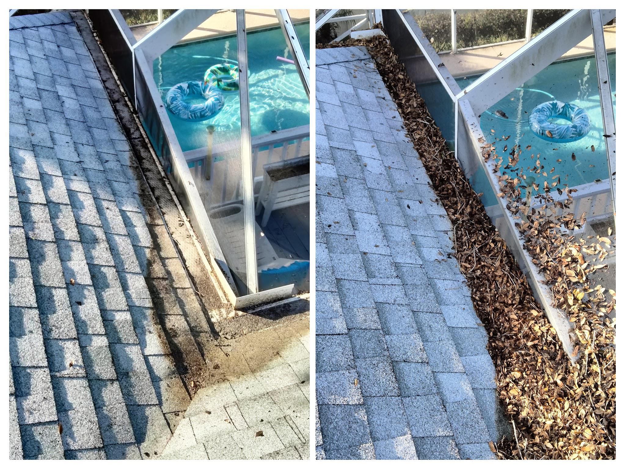 gutter cleaning