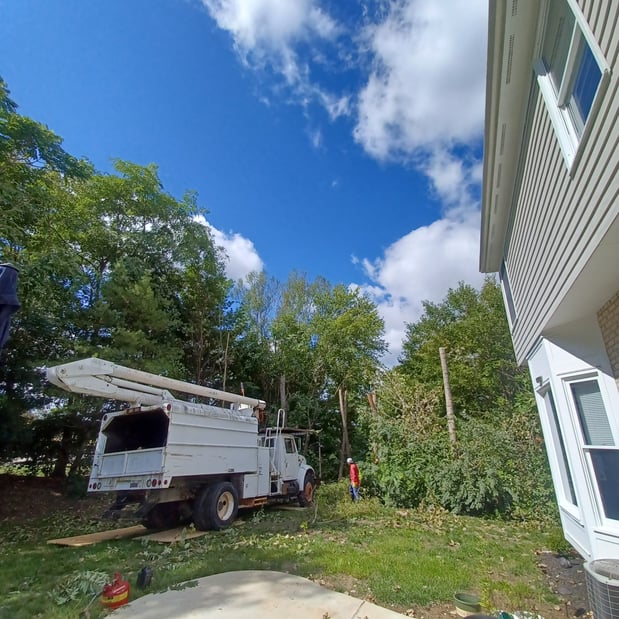 Images Rojas Chops Tree Service LLC