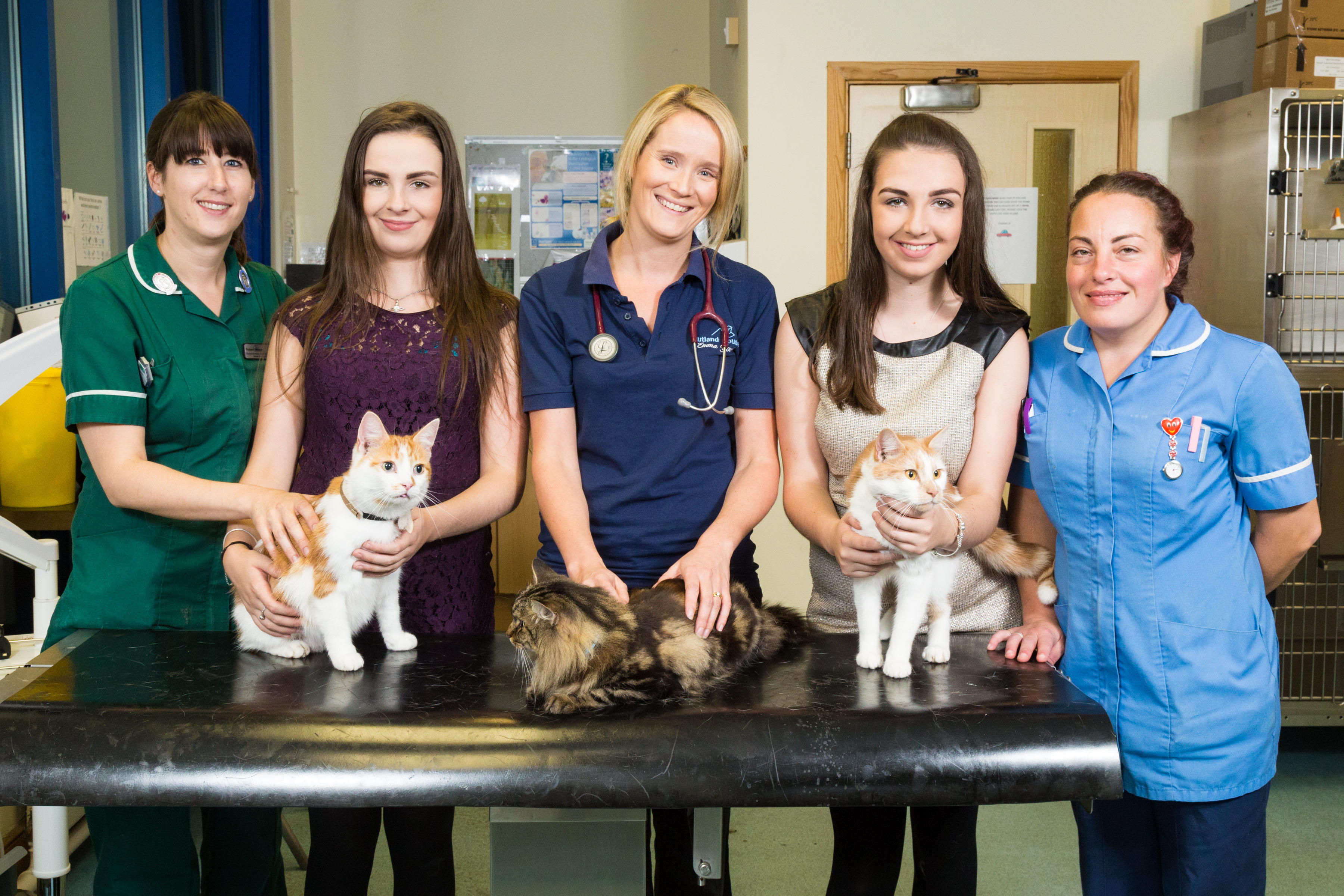 Images Rutland House, The Village Veterinary Surgery