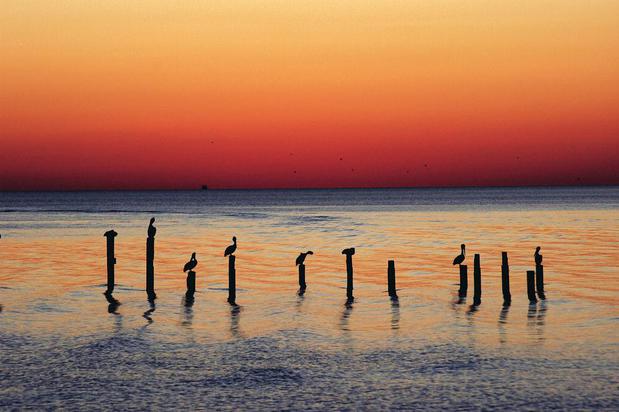 Images Down South Web Design