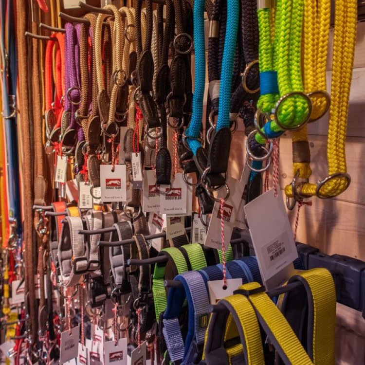 Hundefrisör Saalfelden, Zeller Bundesstraße 17 in Saalfelden am Steinernen Meer