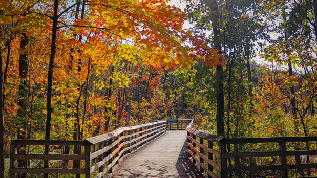 Images Edgewood by Toll Brothers - Closed