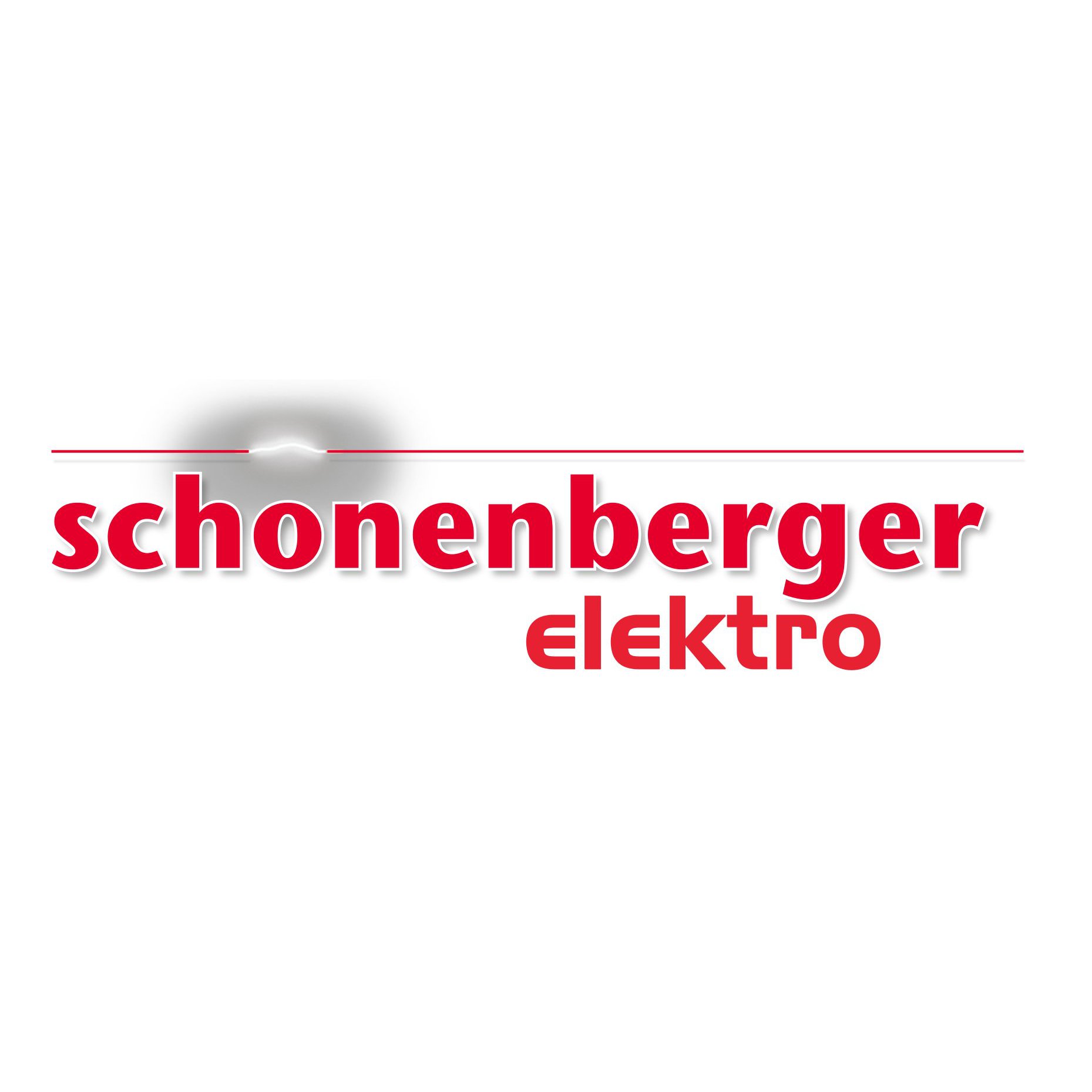 Elektro Schönenberger AG Logo