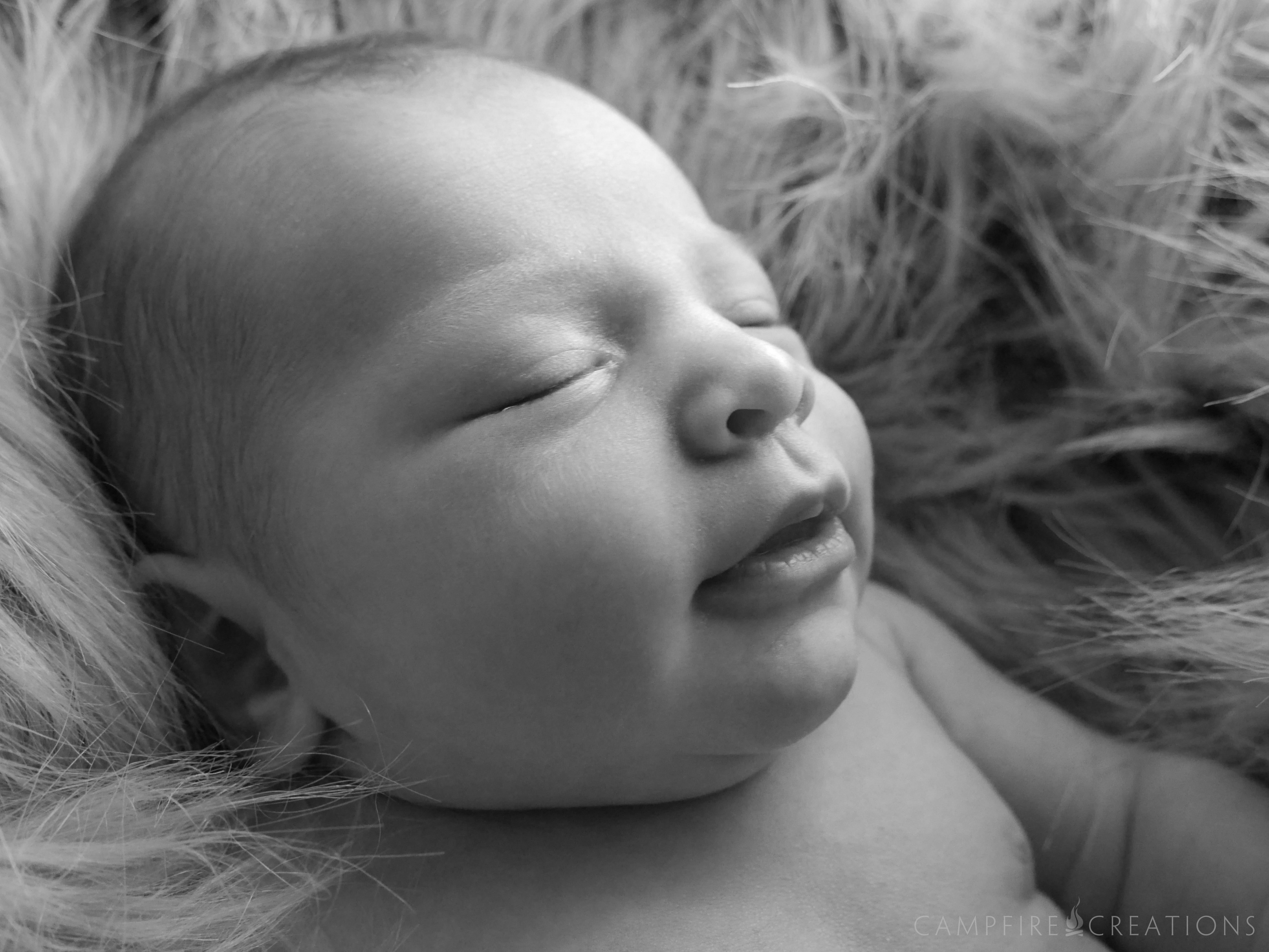 CampFire Creations, LLC