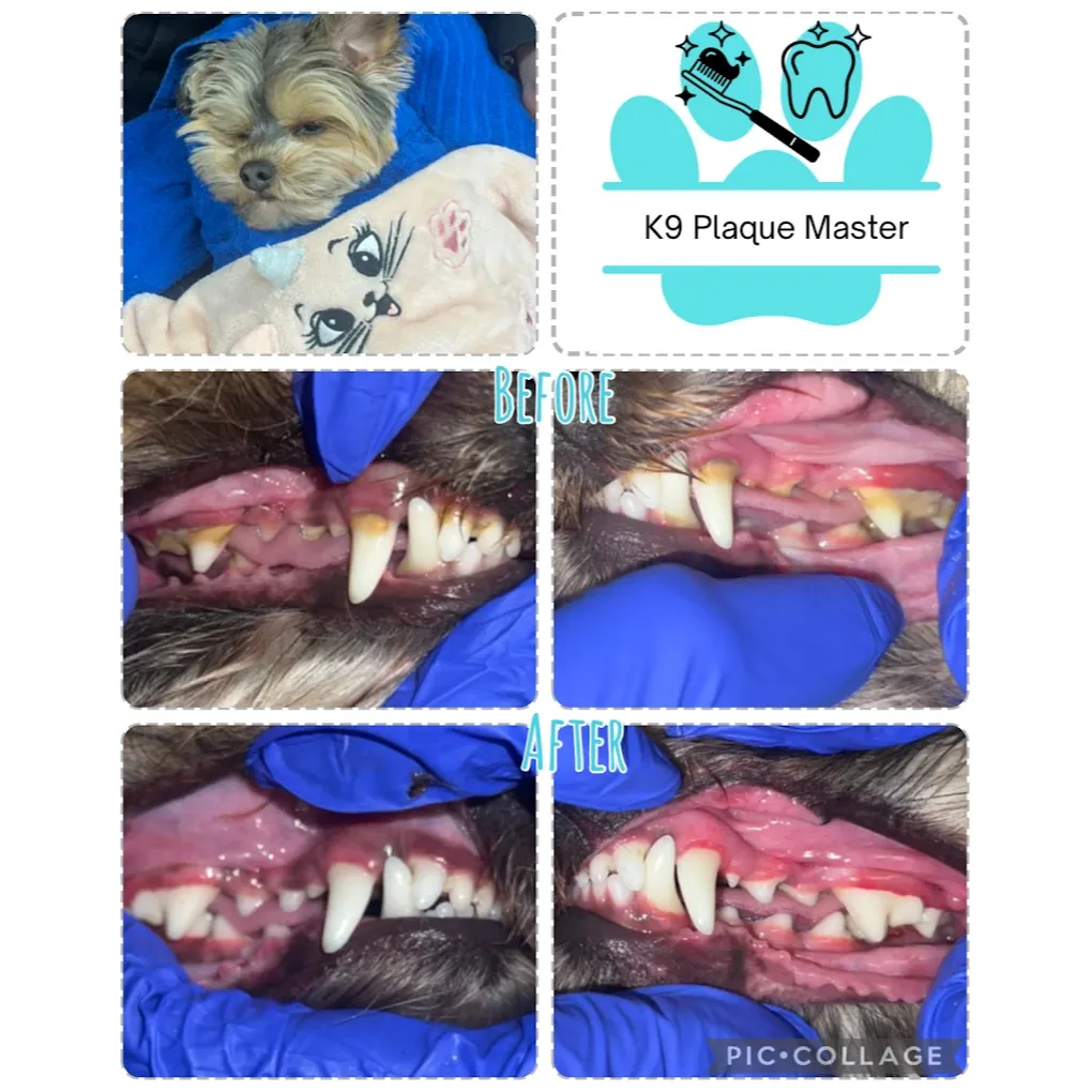Images K9 Plaque Master Inc.