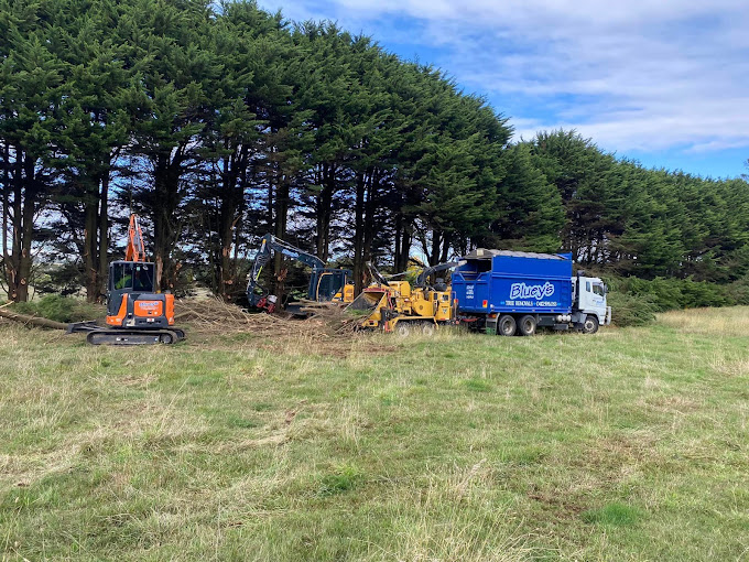 Images Blueys Tree Removals Pty Ltd