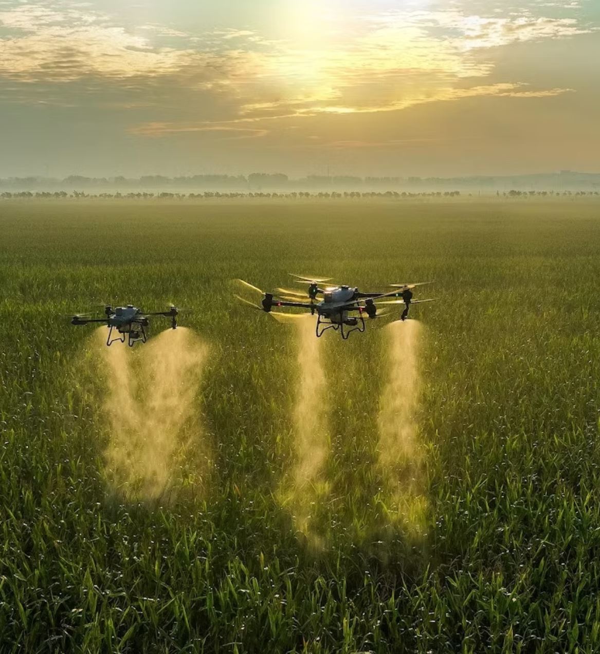 Bilder Drone Agri Tech di Alessio Guscetti