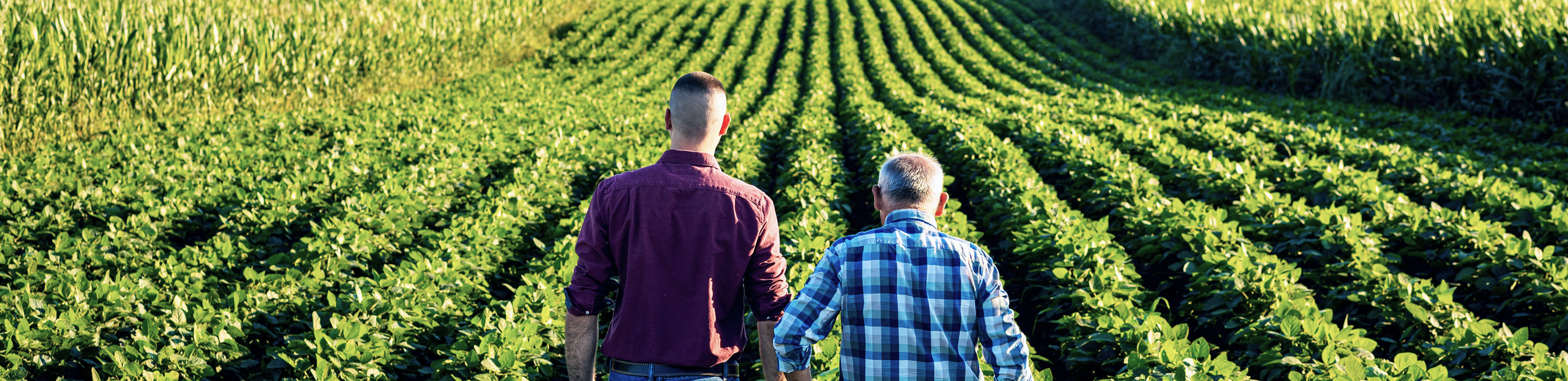Two farmers reviewing the progress they've made in the field.