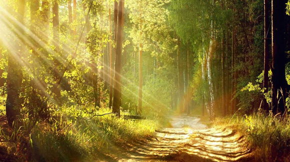 Images Malax Begravningsbyrå Ab - Maalahden Hautaustoimisto Oy