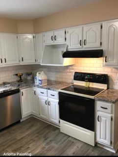 Images Arlotta Painting