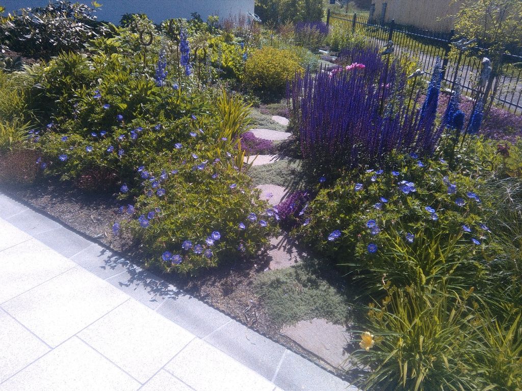 Bild 4 von GWK Garten Wohnraum Knapp