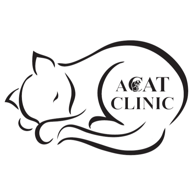 A Cat Clinic