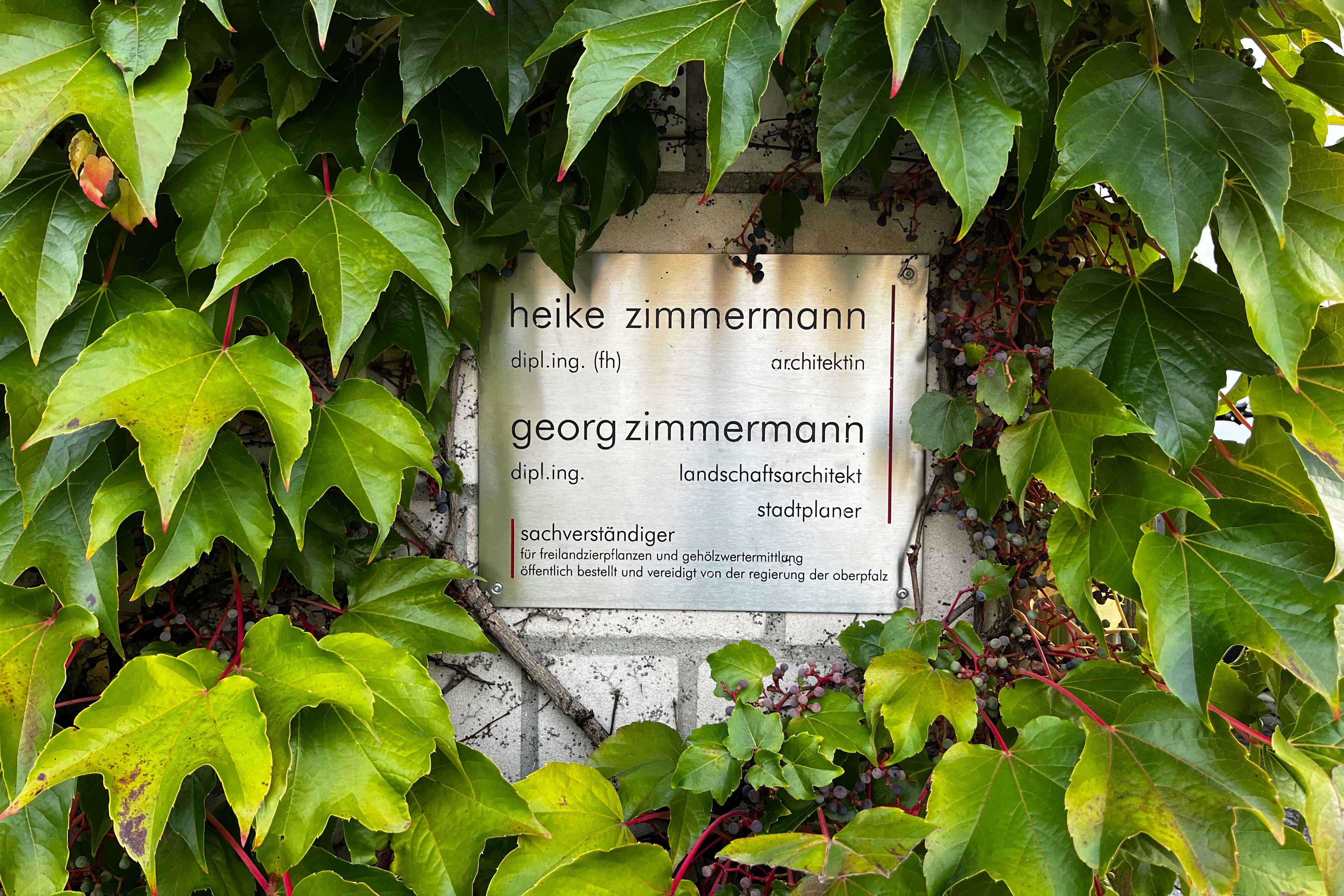 Georg Zimmermann - Baumsachverständiger