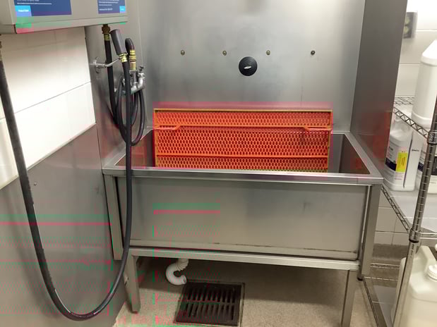 Images Petco Grooming