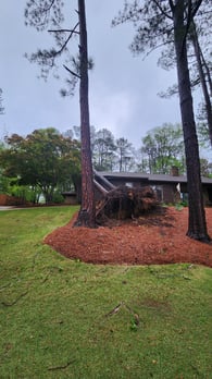 Images Broken Branch Tree Service LLC