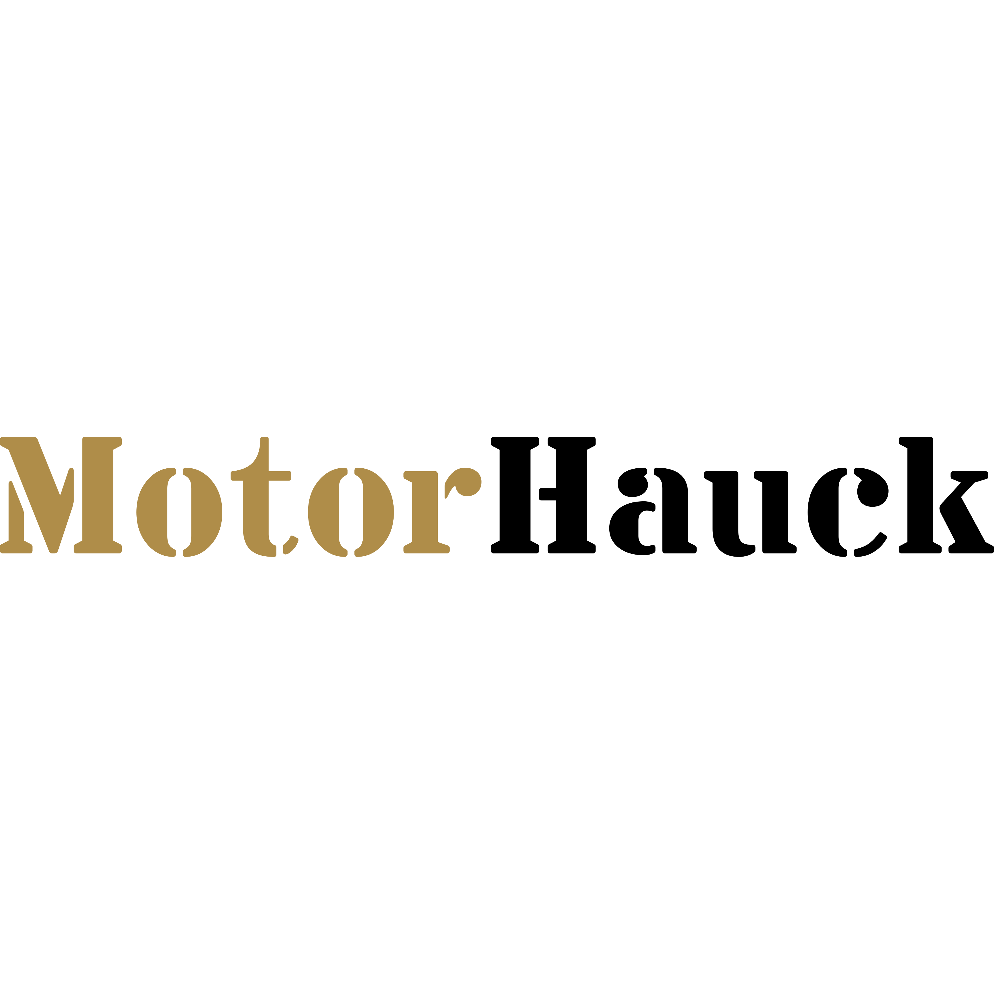 Logo Motor Hauck