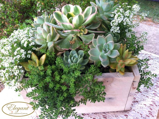 Images Elegant Event Decoration and Catering