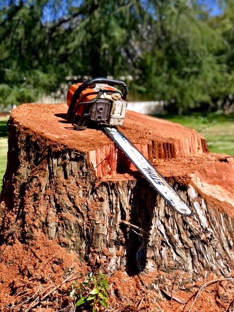 Artistic Touch Tree Experts
