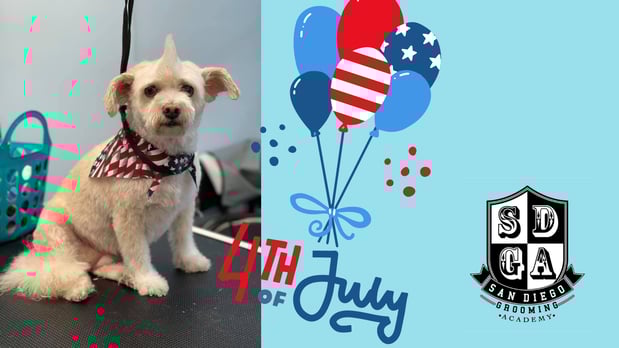 Images San Diego Grooming Academy