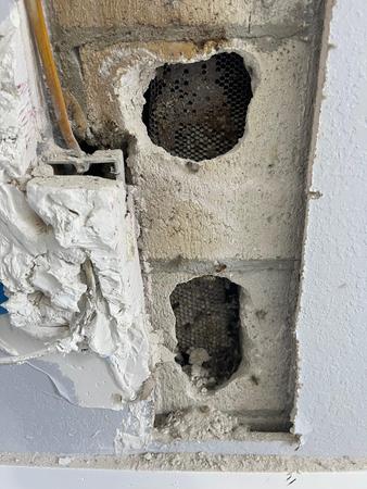 Images Miami Bee Removal Corp.