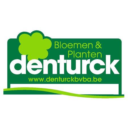 Denturck Logo