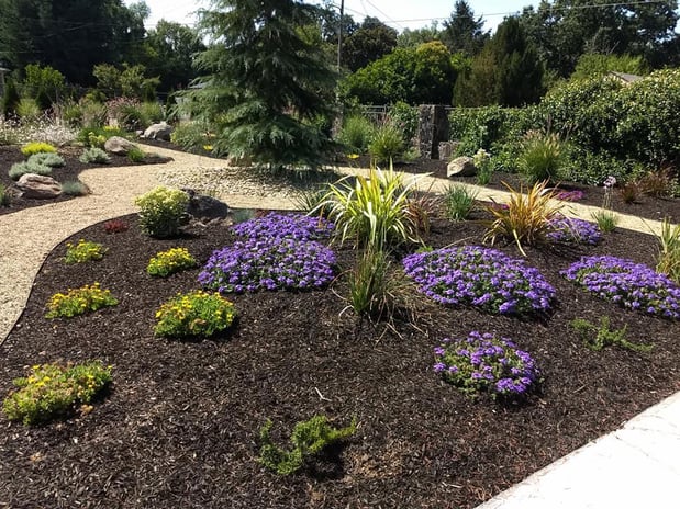 Images Paz Landscape