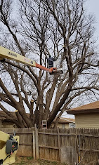 Images Flatlanders Tree Service