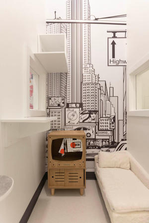 Images Cozy Cat Suites