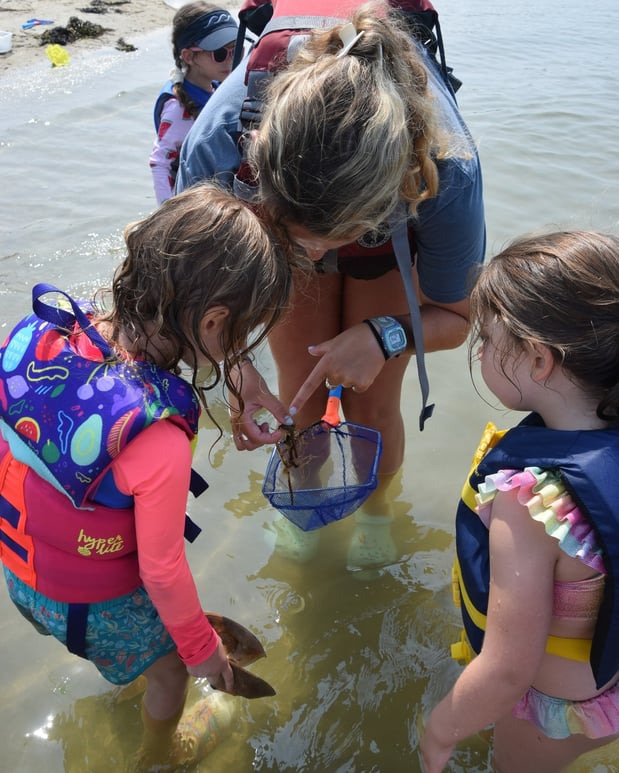 Images New England Science & Sailing Foundation