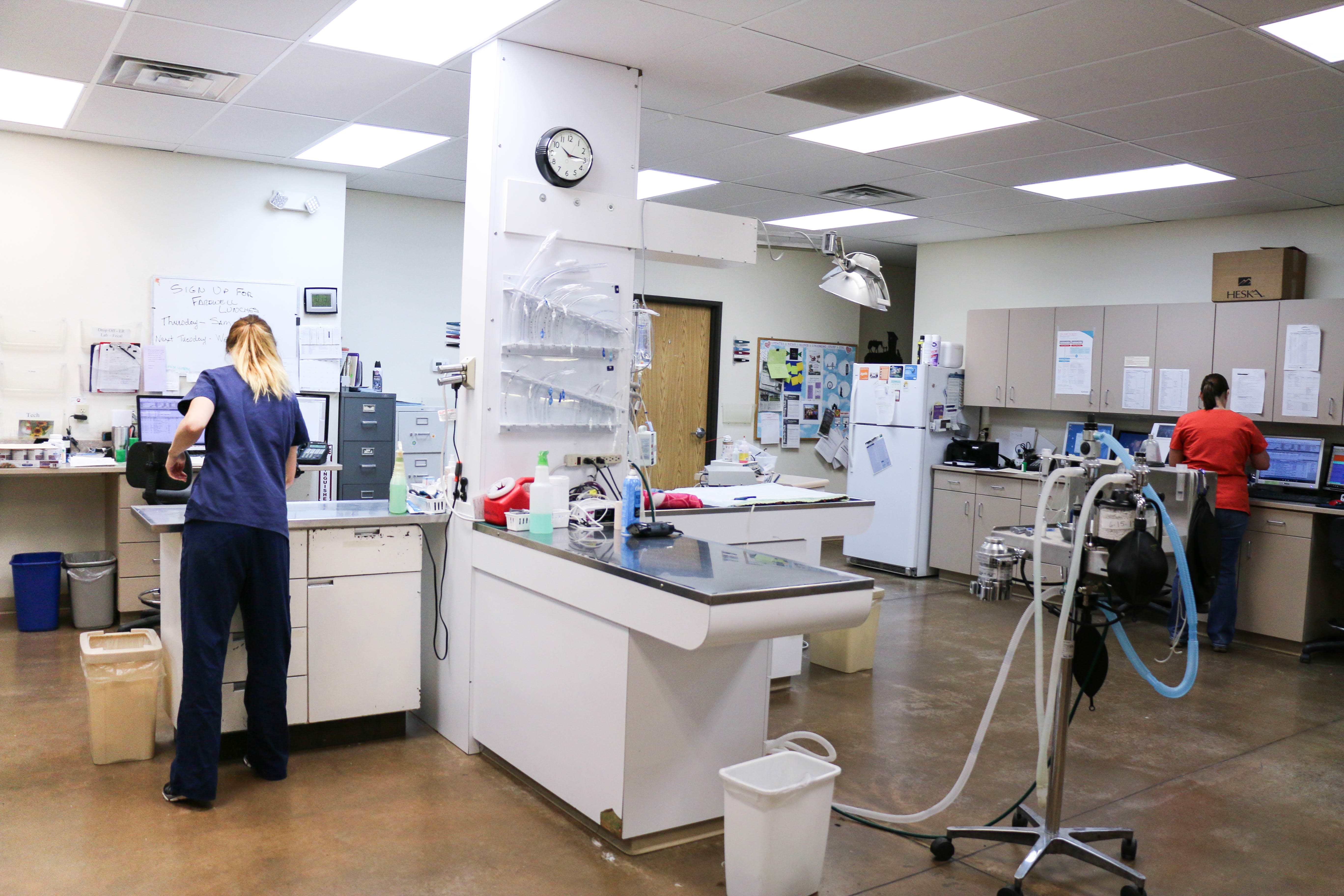 Your pet’s safety and comfort are top priorities for us. That’s why we take cleanliness so seriously. Our treatment area is always sterilized between patients, and the space is kept tidy so that your pet will not be overwhelmed.