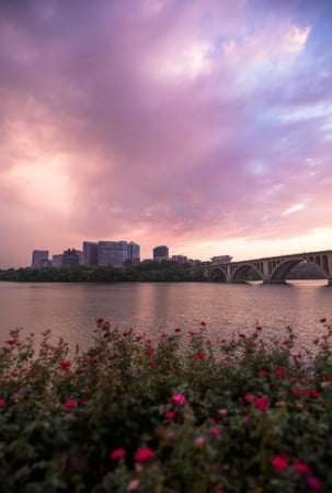 Images inlingua Washington DC