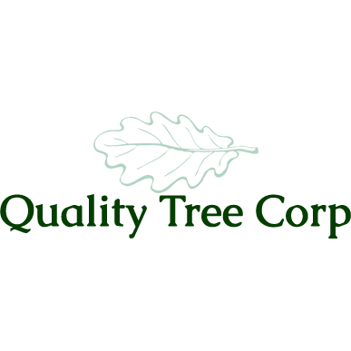 Quality Tree Corp