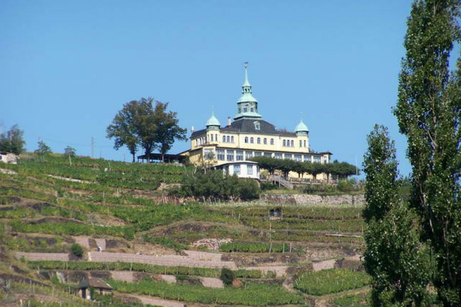 Ferienwohnungen Spitzhausblick, Schuchstraße 13 in Radebeul