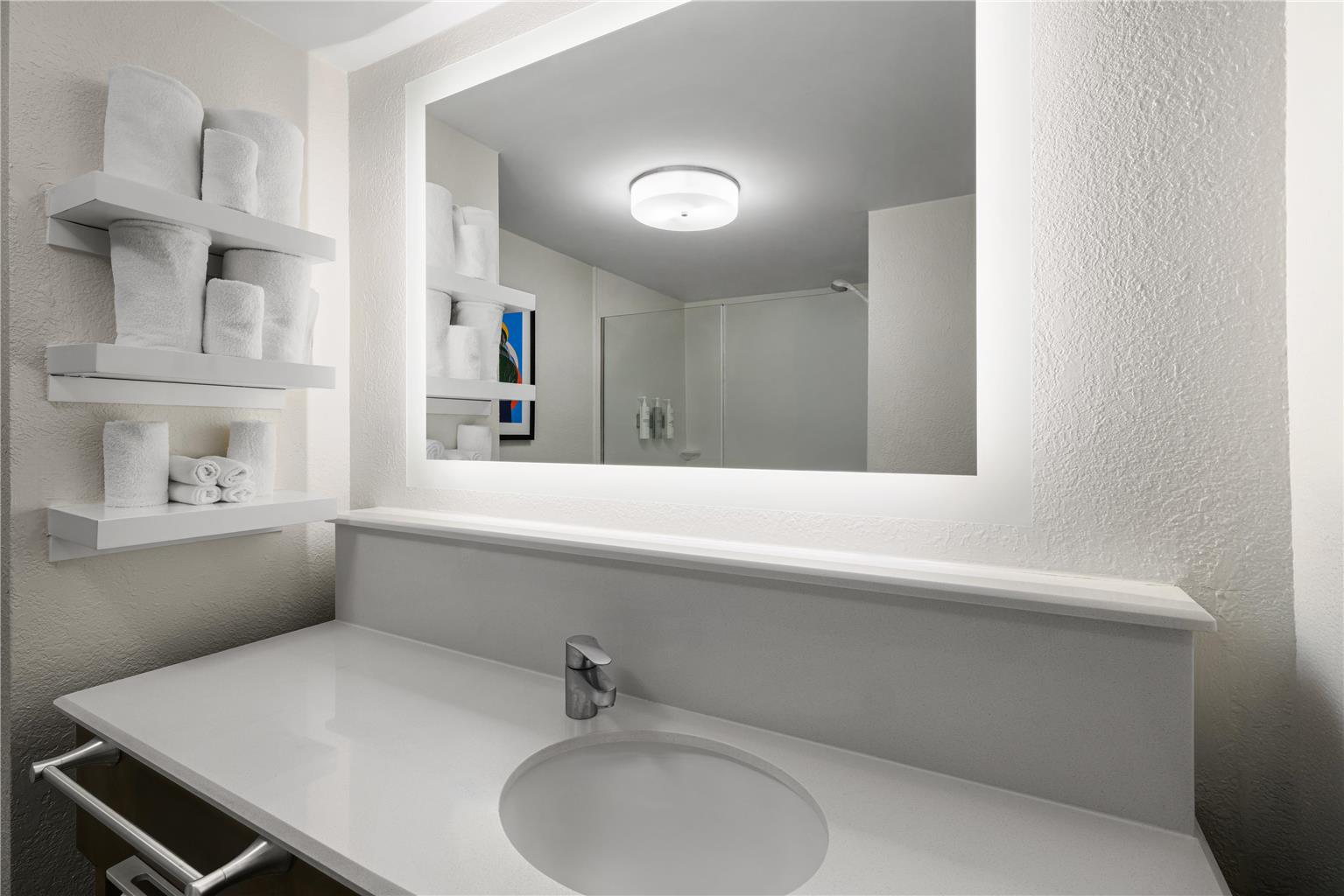 Guest room bath 
