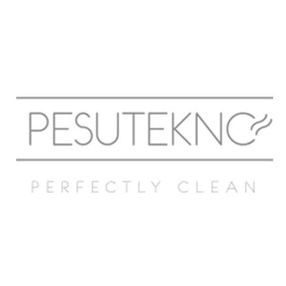 Pesutekno Oy Logo