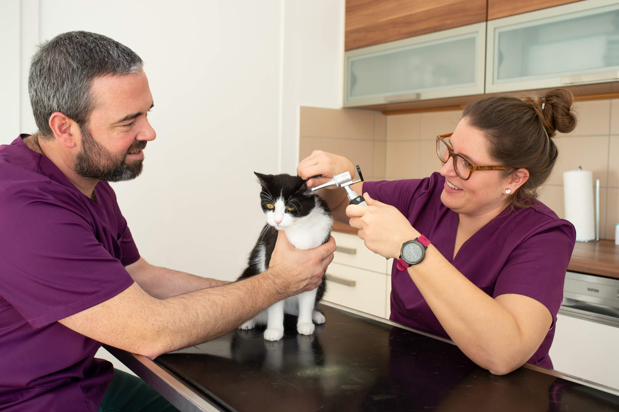 Kleintierordination Weiz, Mag. Alexandra Kienreich, Schillerstraße 43 in Weiz