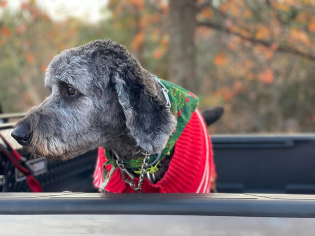 Images BJ Jordan - State Farm Insurance Agent