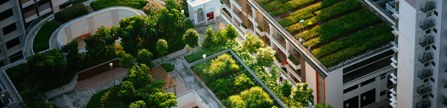 Aerial view of green apartment rooftops in a city centre.