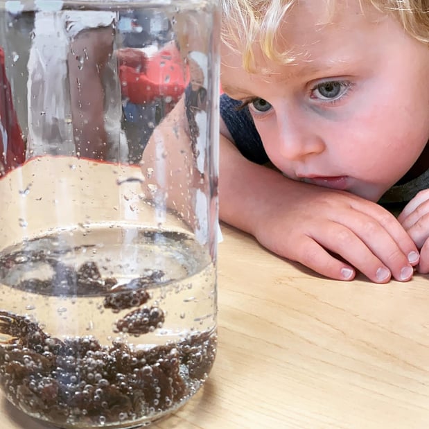 Images My Time Kids Academy- Bee Cave