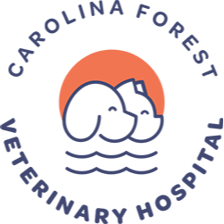 Carolina Forest Veterinary Hospital - Myrtle Beach, SC 29579 - (843)236-7383 | ShowMeLocal.com