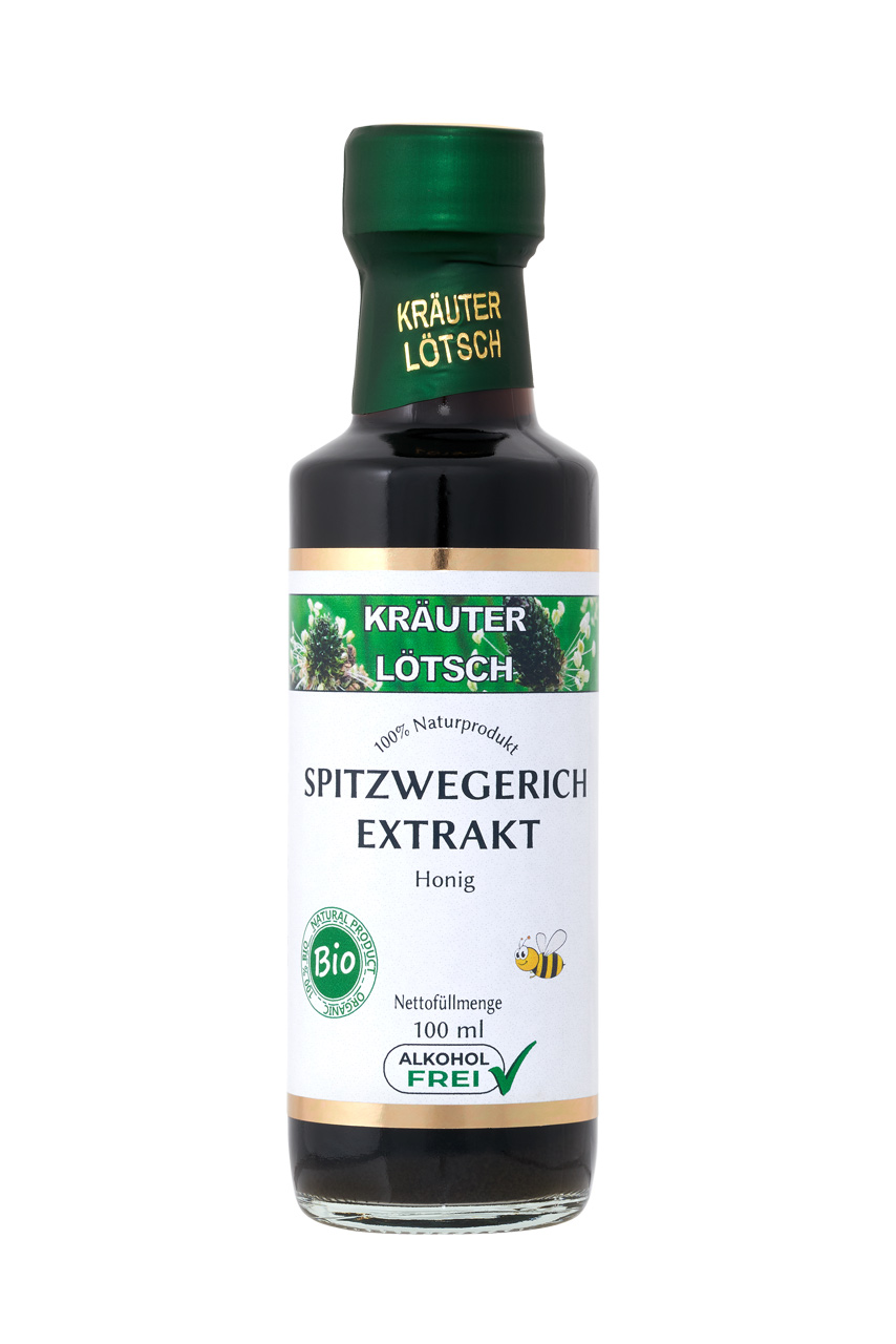 Bilder Kräuter Lötsch