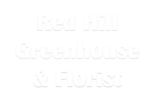 Images Red Hill Greenhouse & Florist