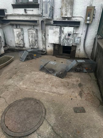 Images JPC Exterminating, LLC