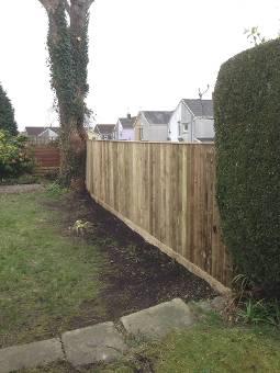 Rooted Tree & Landscapes Ltd Swansea 01792 519576