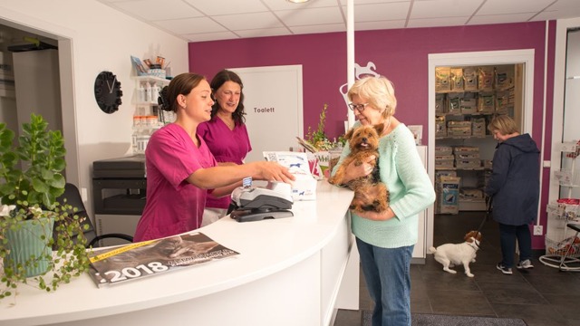 Images Fyra Ben Smådjursklinik