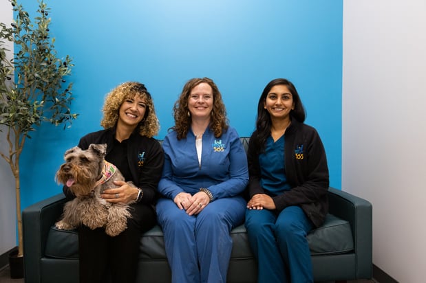Images PetVet365 Pet Hospital Denver / University